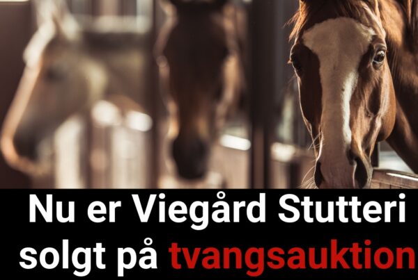 Nu er Viegård Stutteri solgt på tvangsauktion
