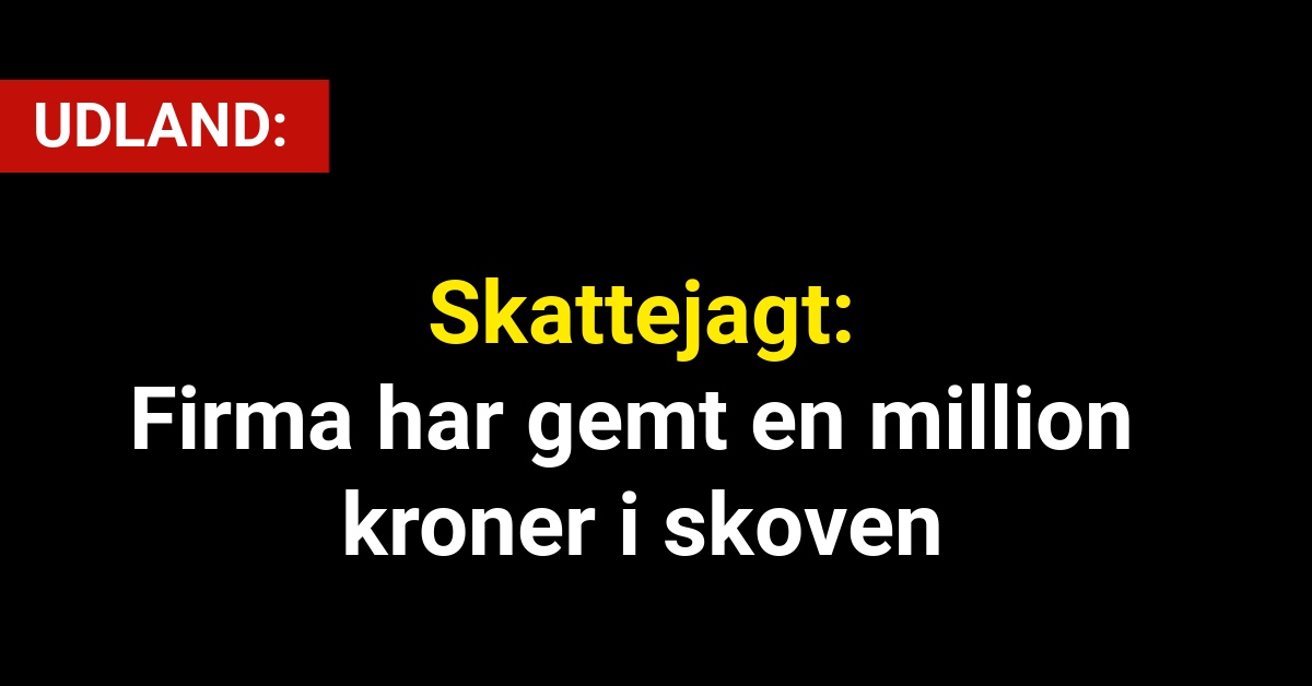 Skattejagt: Firma har gemt en million kroner i skoven