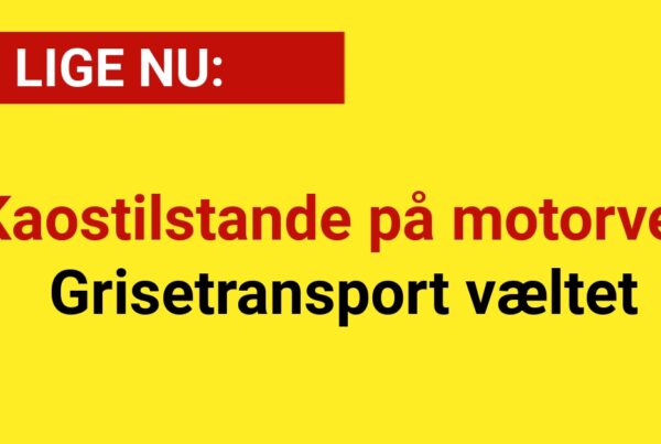 Kaostilstande på motorvej: Grisetransport væltet - 112