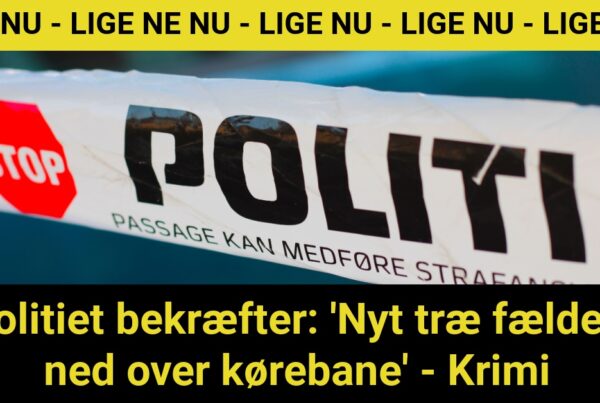 Politiet bekræfter: 'Nyt træ fældet ned over kørebane' - Krimi