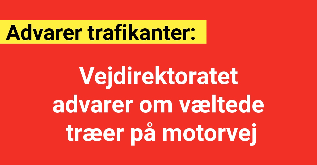 Vejdirektoratet advarer om væltede træer på motorvej