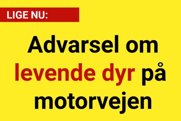 LIGE NU: Advarsel om levende dyr på motorvejen