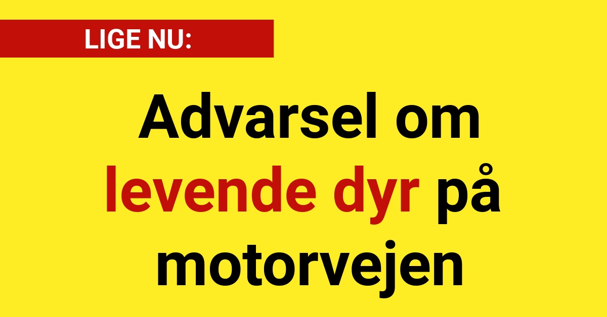 LIGE NU: Advarsel om levende dyr på motorvejen