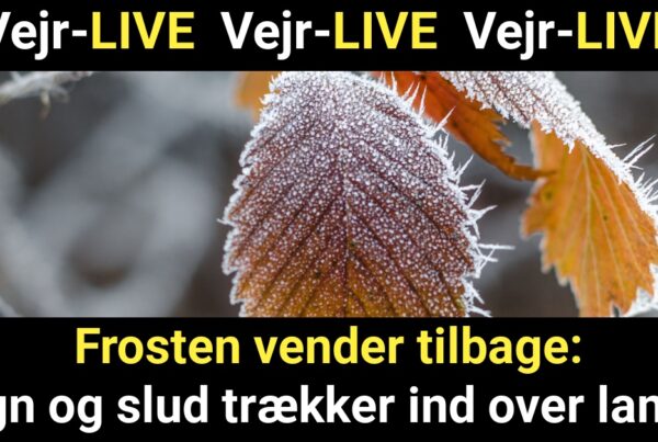 Frosten vender tilbage: Regn og slud trækker ind over landet - Vejr-LIVE
