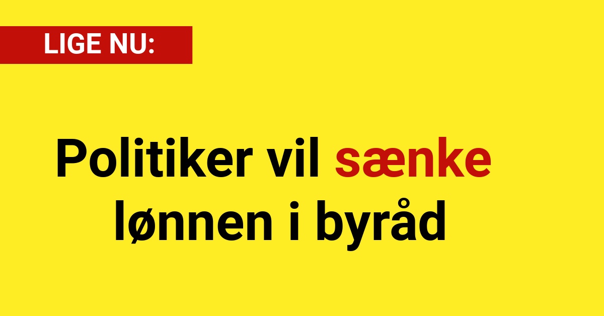 Politiker vil sænke lønnen i byråd - Nyhed24.dk