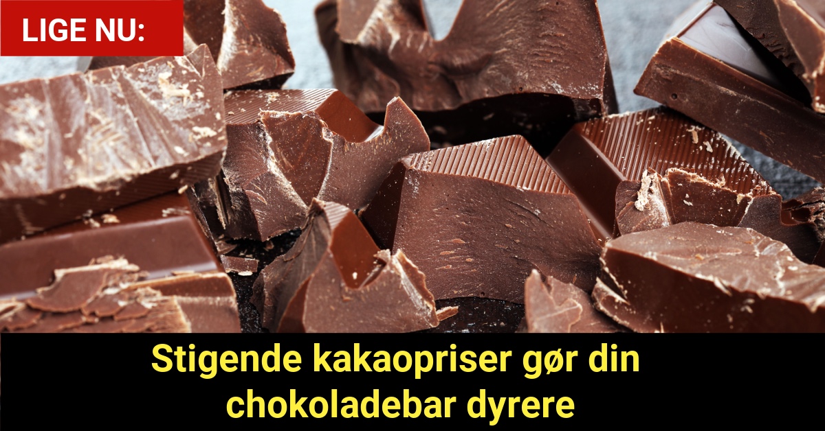 Stigende kakaopriser gør din chokoladebar dyrere