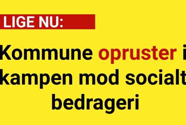 Kommune opruster i kampen mod socialt bedrageri - Nyhed24.dk
