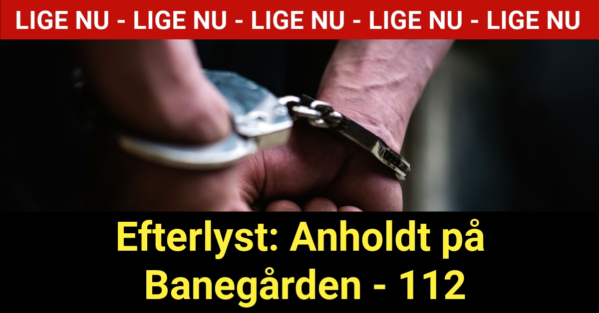Efterlyst: Anholdt på Banegården - 112