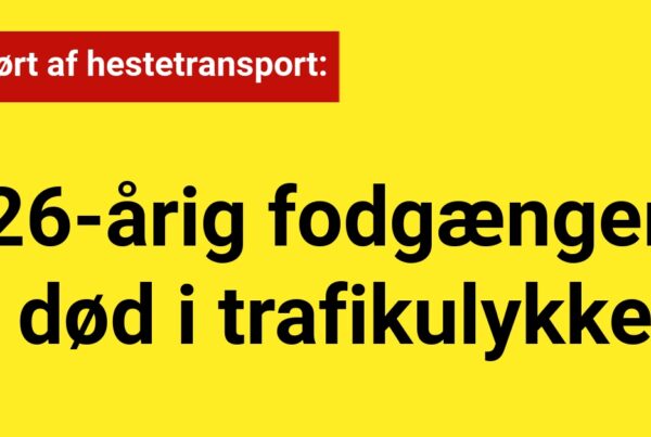 26-årig død i trafikulykke: Påkørt af hestetransport