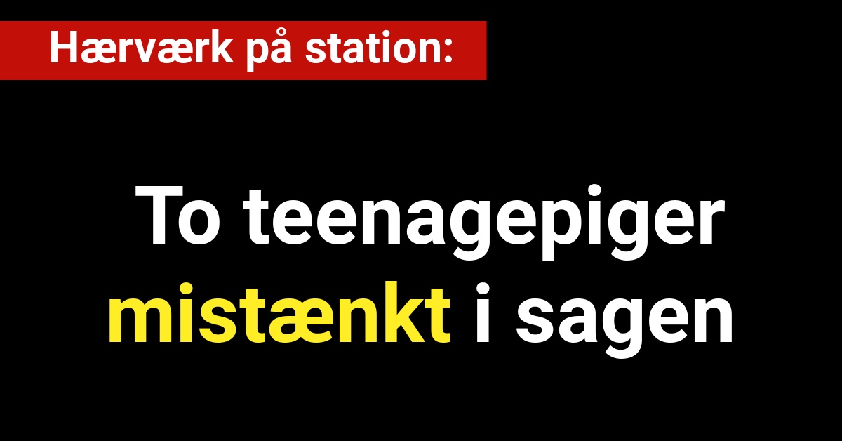 Hærværk på station: