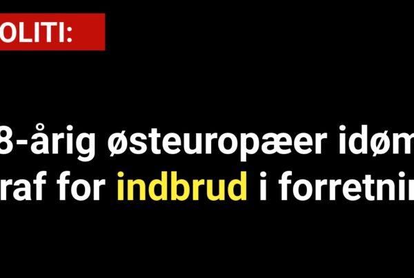 38-årig østeuropæer idømt straf for indbrud forretning