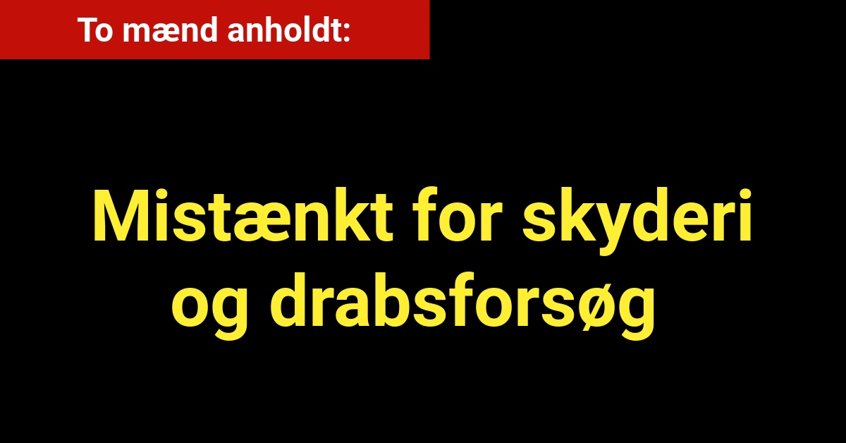 To mænd anholdt