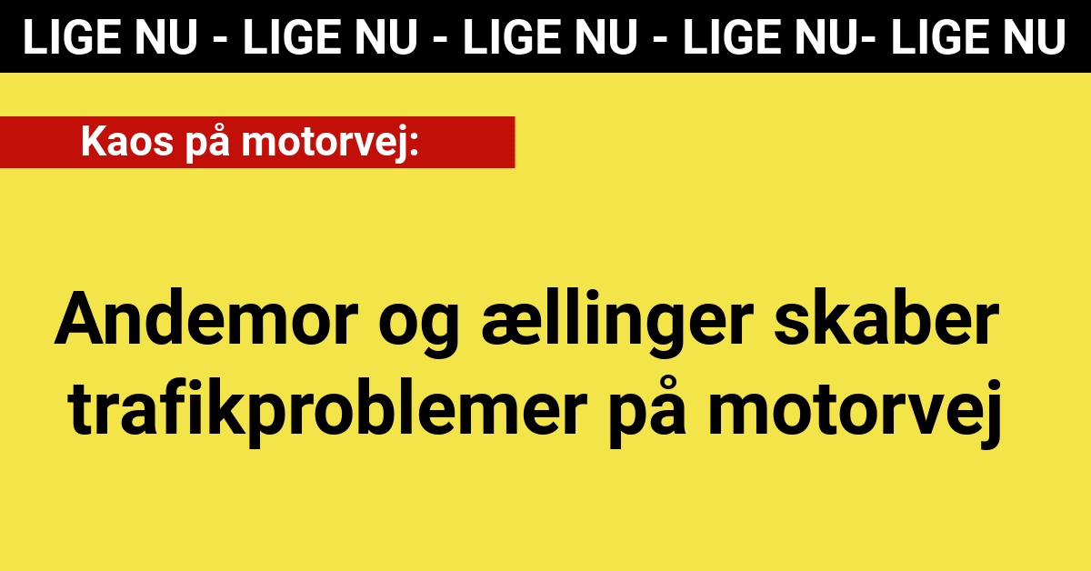 LIGE NU: Andemor og ællinger skaber trafikproblemer på motorvej