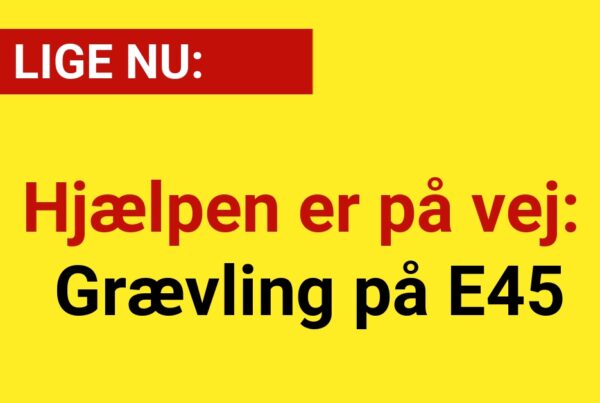 Hjælpen er på vej: Grævling på E45