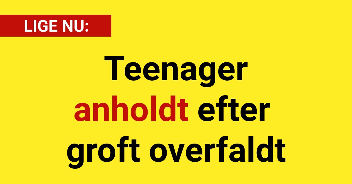 Teenager anholdt efter groft overfaldt