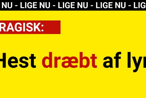 Tragisk hændelse ved populært stutteri: Hest dræbt af lyn