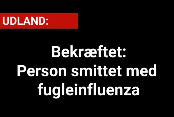 Bekræftet: Person smittet med fugleinfluenza