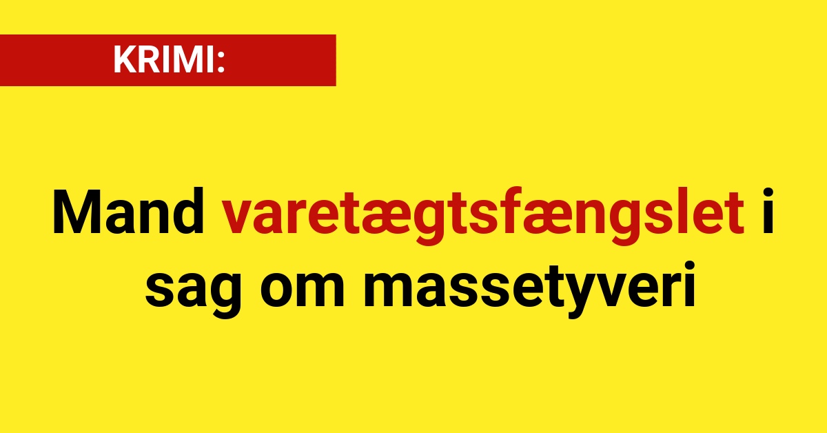 Mand varetægtsfængslet i sag om massetyveri - Krimi