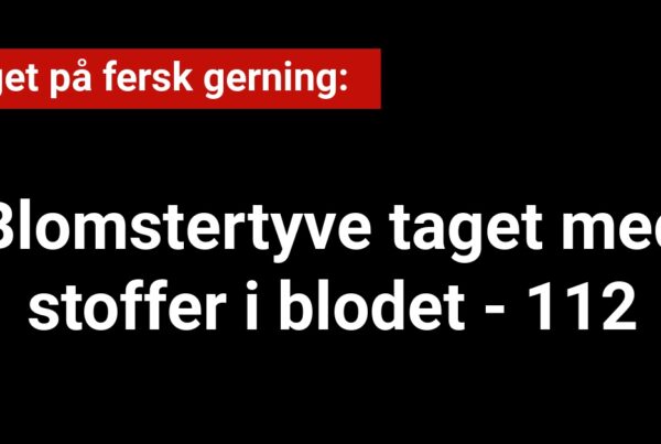 Blomstertyve taget med stoffer i blodet - 112