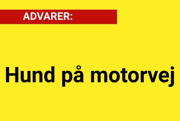 Advarer: Hund på motorvej - 112