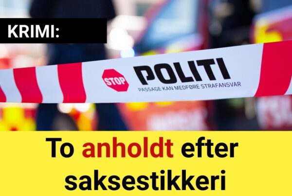 To anholdt efter saksestikkeri - Krimi