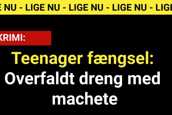 Teenager fængsel: Overfaldt dreng med machete - krimi