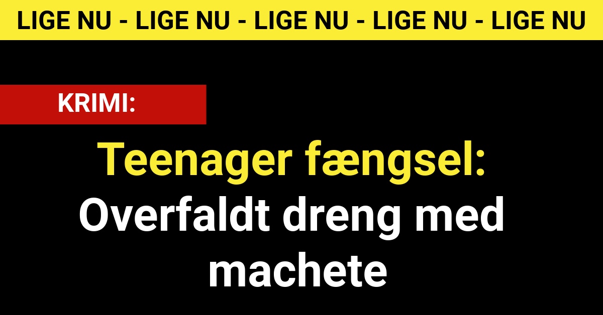 Teenager fængsel: Overfaldt dreng med machete - krimi