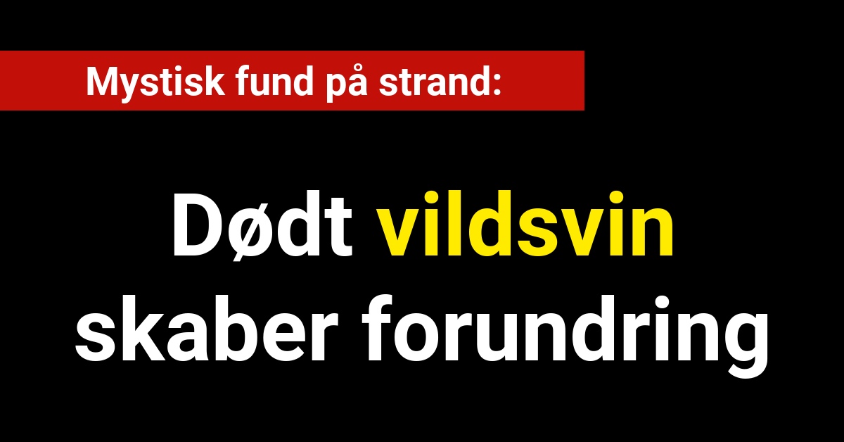 Mystisk fund: