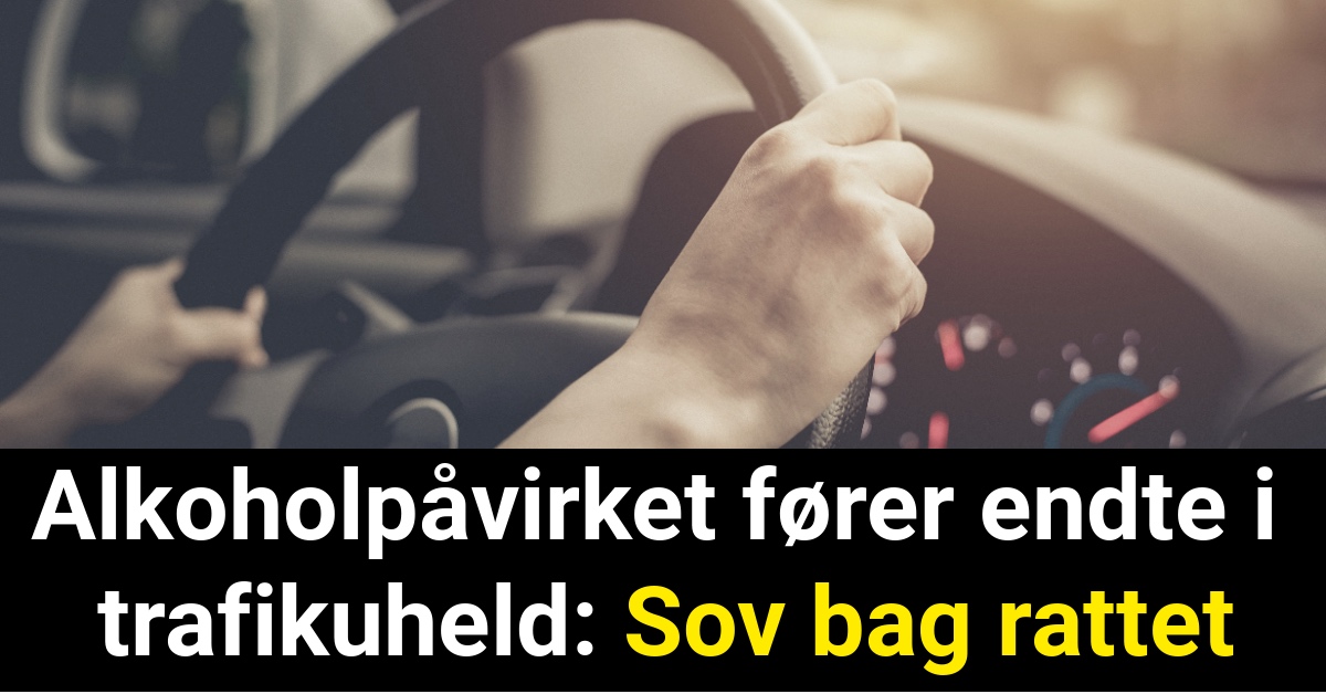 Alkoholpåvirket fører endte i trafikuheld: Sov bag rattet