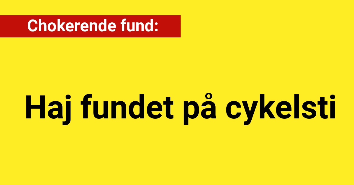 Chokerende fund: Haj fundet på cykelsti - 112