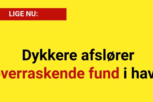 Dykkere afslører overraskende fund i havn - 112