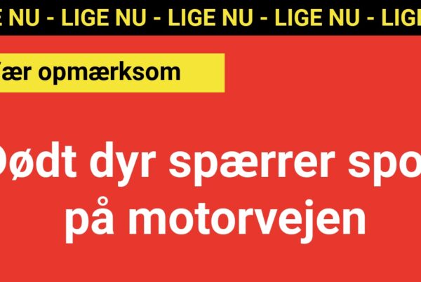 LIGE NU: Dødt dyr spærrer spor på motorvejen