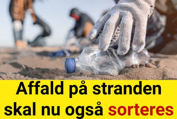 Affald på stranden skal nu også sorteres