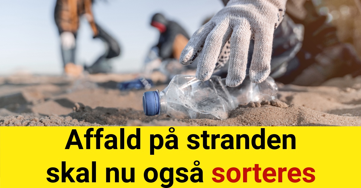 Affald på stranden skal nu også sorteres