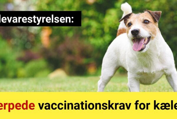 Skærpede vaccinationskrav for kæledyr
