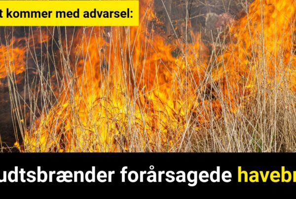 Ukrudtsbrænder forårsagede havebrand