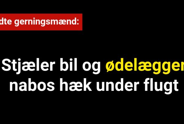 Ukendte gerningsmænd stjæler bil og ødelægger nabos hæk under flugten.