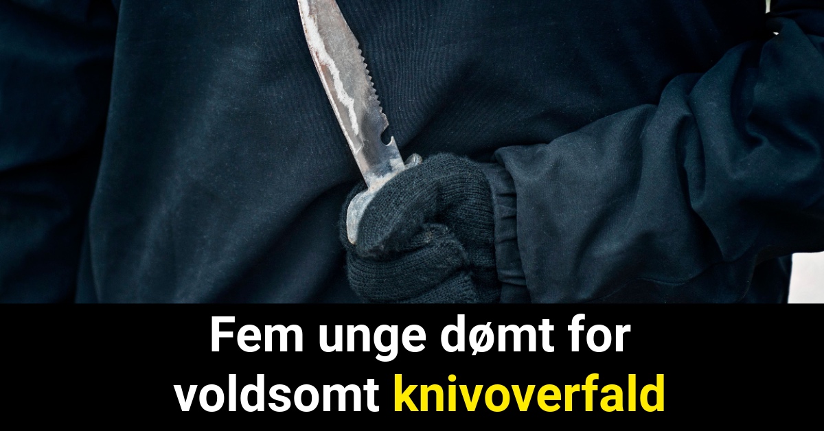 Fem unge dømt for voldsomt knivoverfald