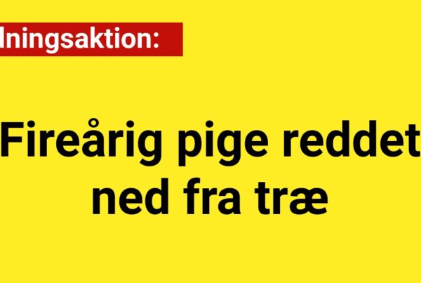 Fireårig pige reddet ned fra træ i dramatisk hændelse
