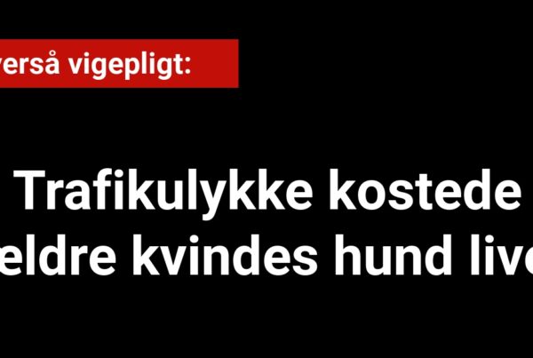 Trafikulykke koster ældre kvindes hund livet