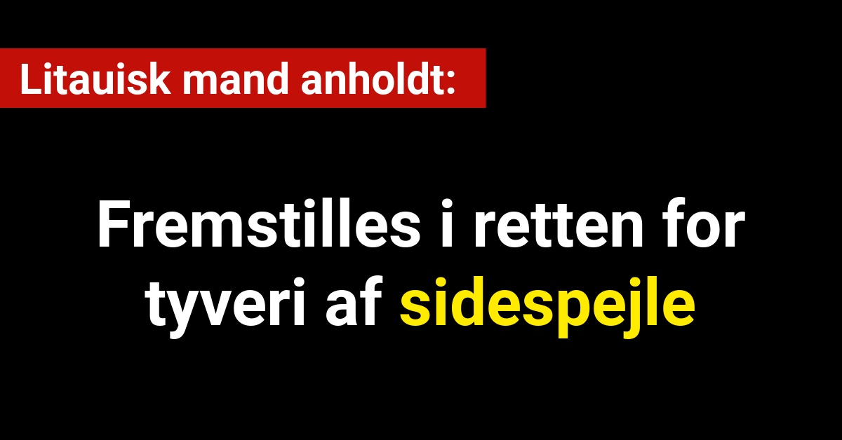 Litauisk mand anholdes