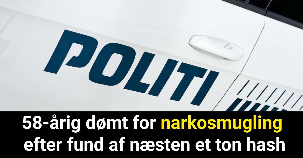 58-årig dømt for narkosmugling efter fund af næsten et ton hash