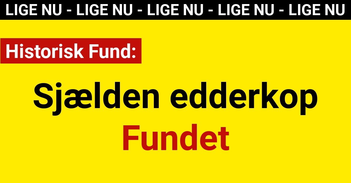 Banebrydende Fund: Sjælden Edderkop fundet - Nyhed24.dk