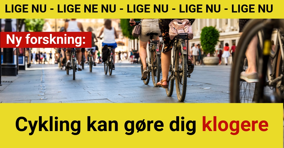 Ny forskning: Cykling kan gøre dig klogere