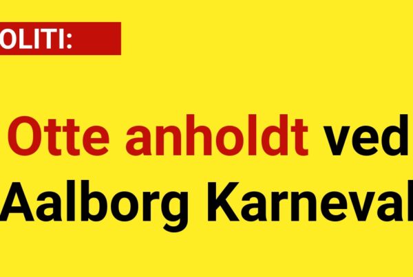 Otte anholdt ved Aalborg Karneval - 112
