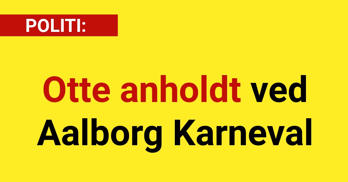 Otte anholdt ved Aalborg Karneval - 112