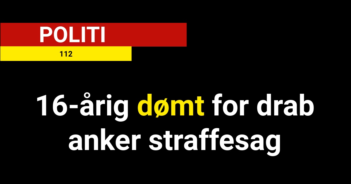 16-årig dømt for drab anker straffesag - 112