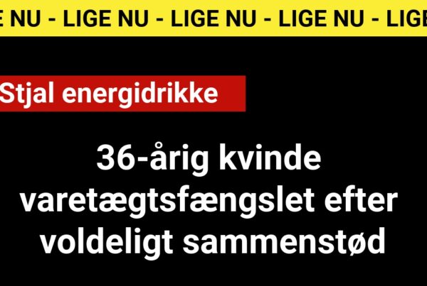 36-årig kvinde varetægtsfængslet efter voldeligt sammenstød - 112