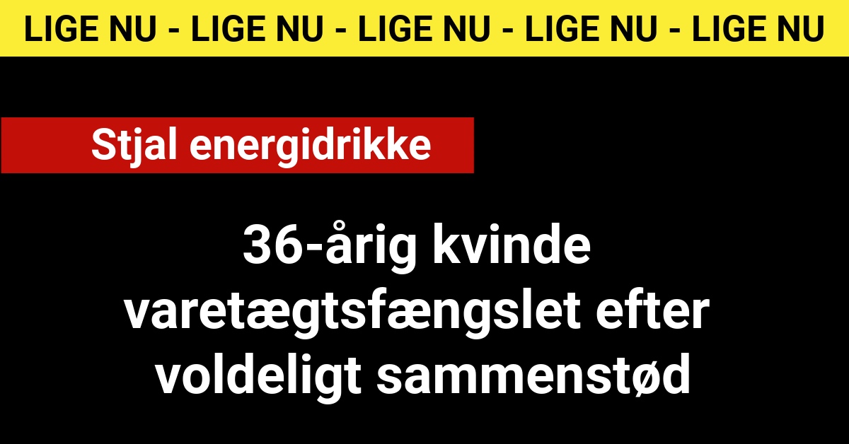 36-årig kvinde varetægtsfængslet efter voldeligt sammenstød - 112