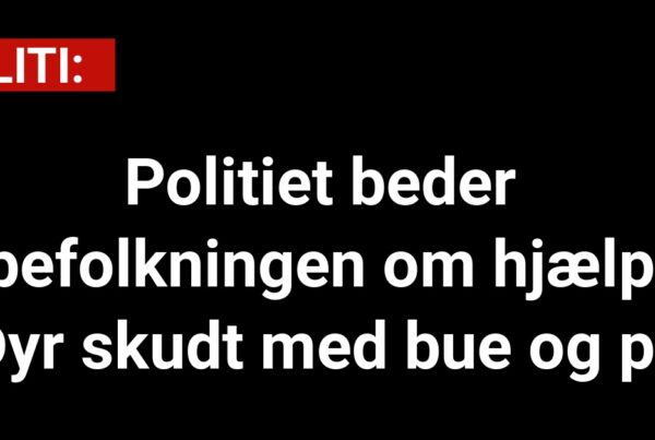 Politiet beder befolkningen om hjælp: Dyr skudt med bue og pil